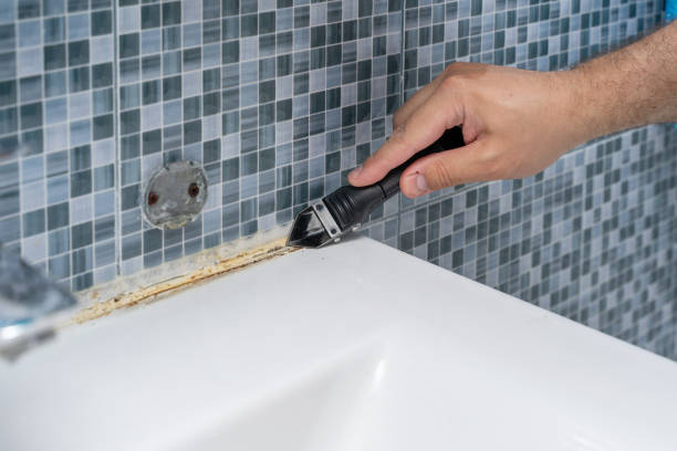 Best Basement Mold Remediation in Kansas City, MO
