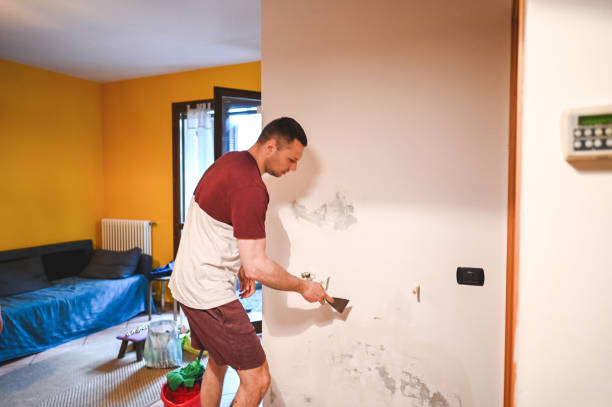 Best Preventive Mold Services in Kansas City, MO